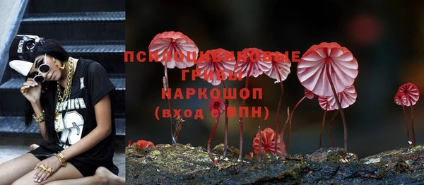 каннабис Горнозаводск