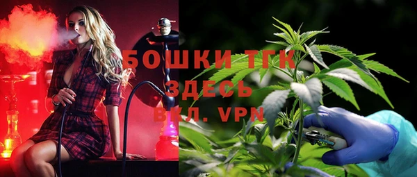 твердый Алексеевка